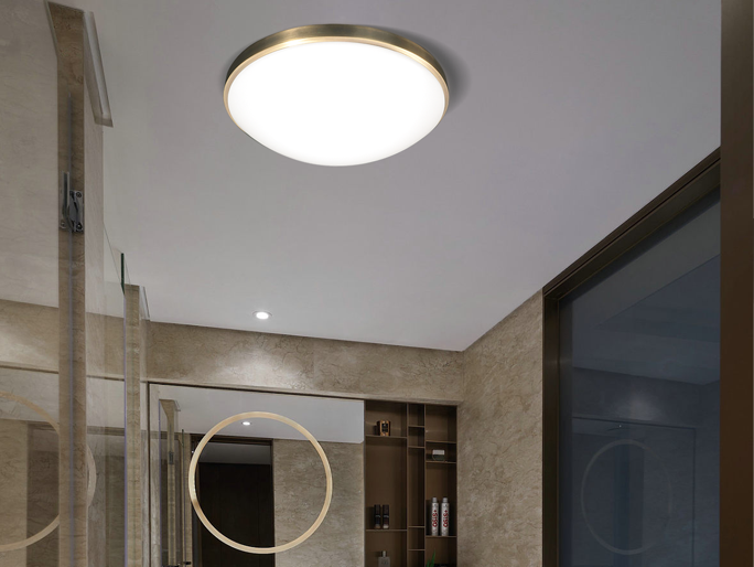 LED Ceiling Lights