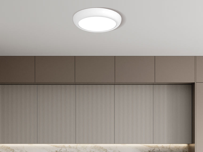 LED Ceiling Lights