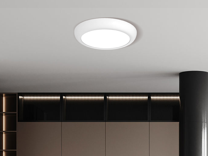 LED Ceiling Lights