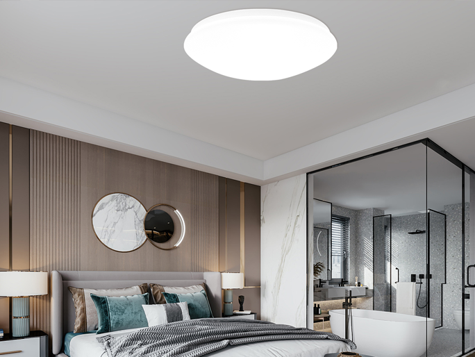 LED Ceiling Lights