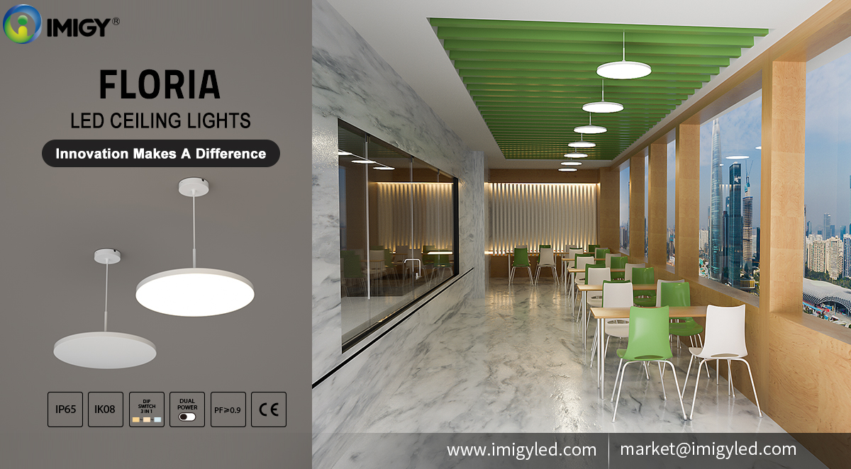 Illuminate Your Space: The Versatile Floria Ceiling Light