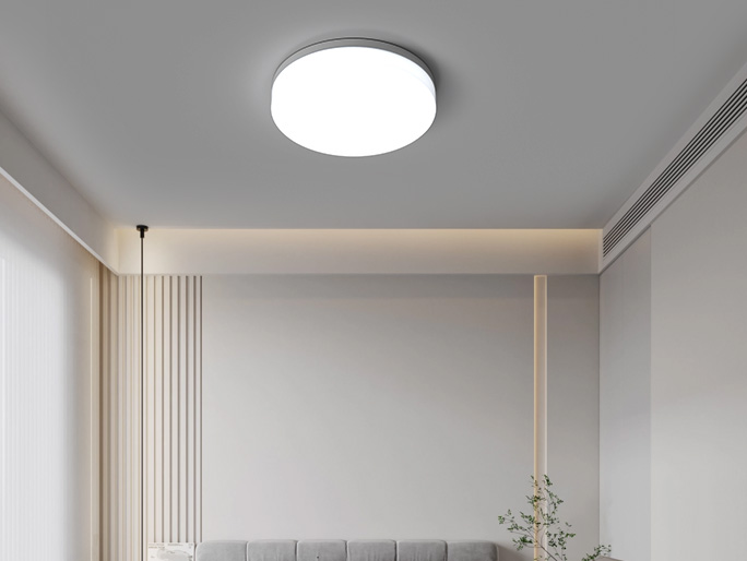 Halo Ceiling Light- C10300