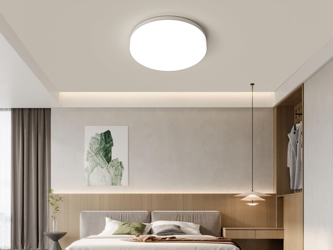 Halo Ceiling Light- C10400