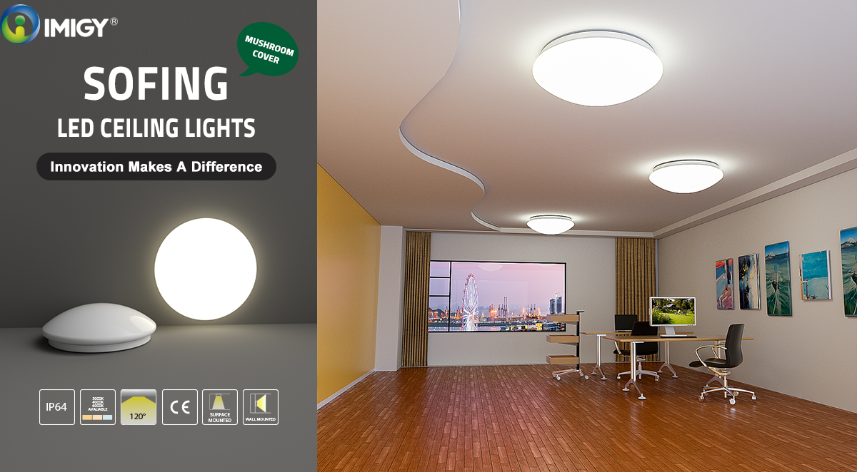 Sofing Ceiling Lights.jpg